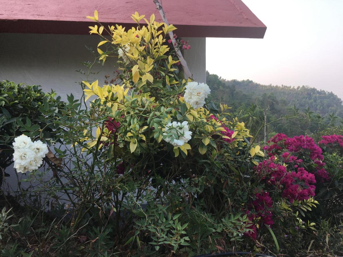 Tea Terrace Vythiri Hotel Wayanad Exterior photo